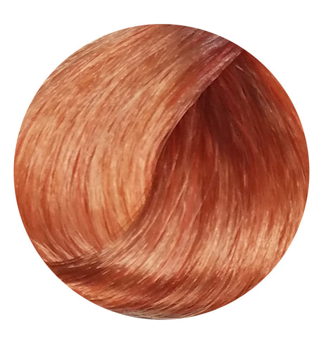 DIKSON COLOR EXTRA COLD SERIES